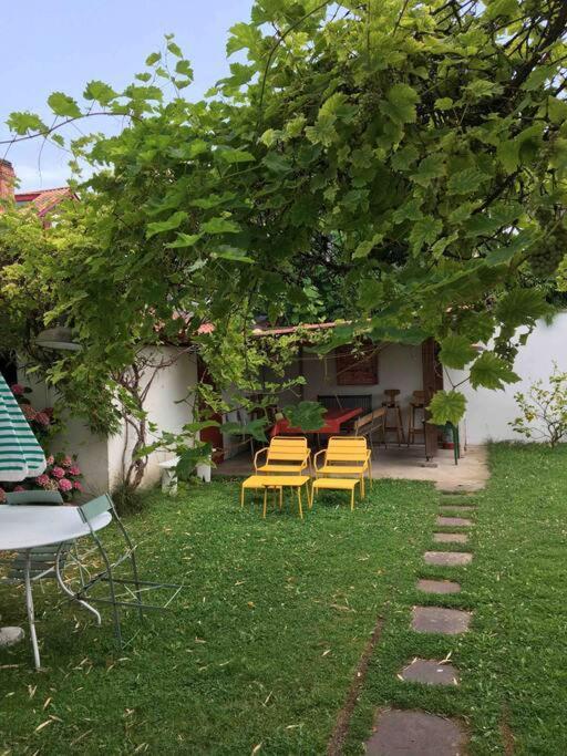 Appartement En Rez De Jardin 西布勒 外观 照片