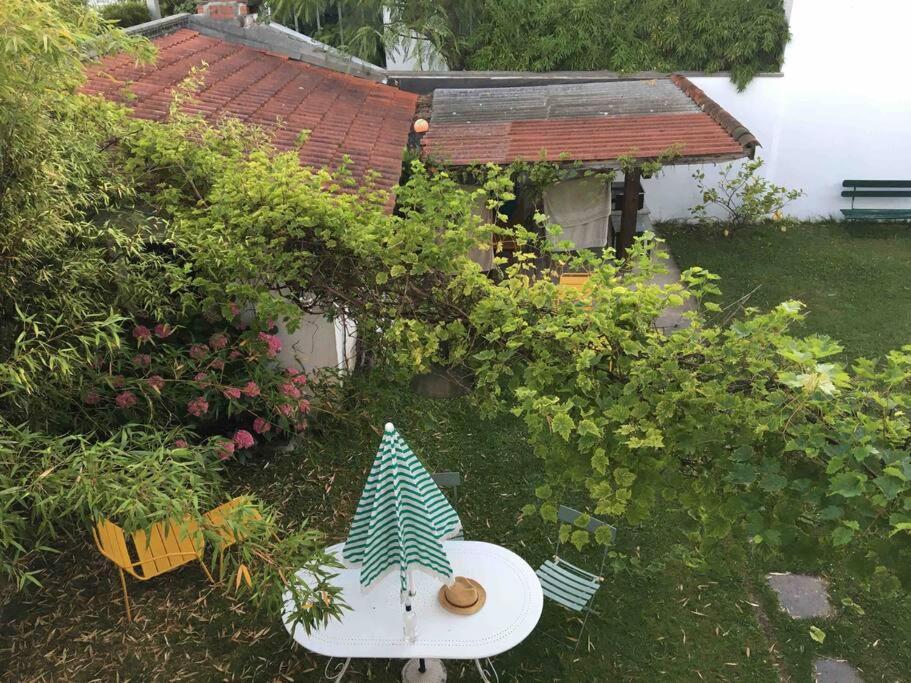 Appartement En Rez De Jardin 西布勒 外观 照片