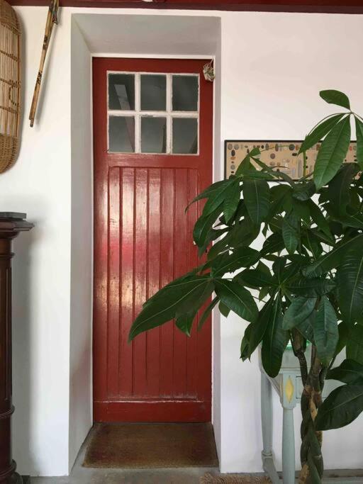 Appartement En Rez De Jardin 西布勒 外观 照片
